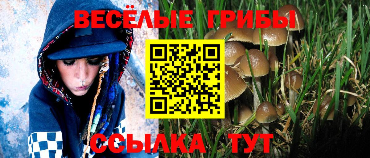 даркнет сайт  Вход с VPN  Северодвинск  Галлюциногенные грибы Psilocybine cubensis 